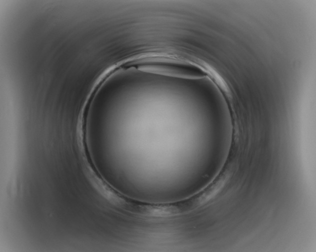 X0000114530899200910191319
