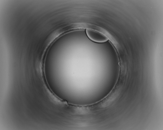 X0000114530901200910191319