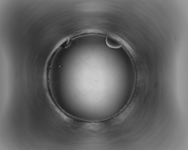 X0000114530902200910191319