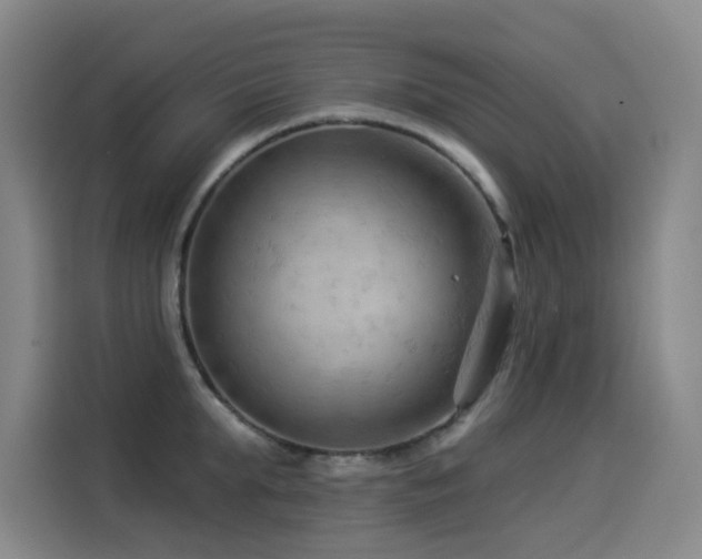 X0000114530903200910191319