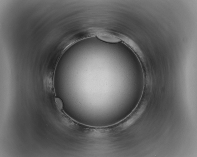 X0000114530905200910191319