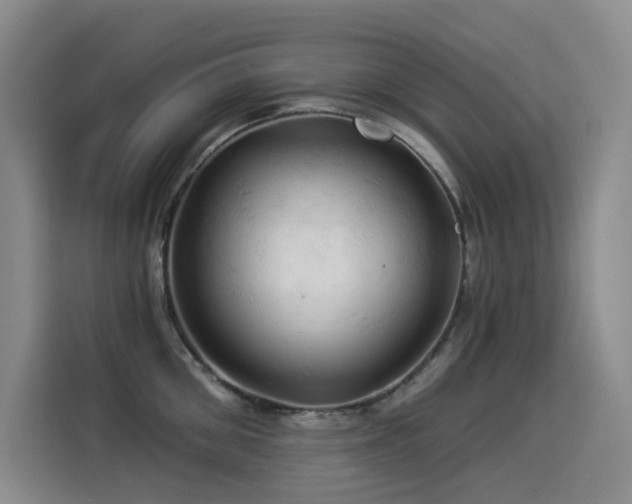 X0000114530906200910191319
