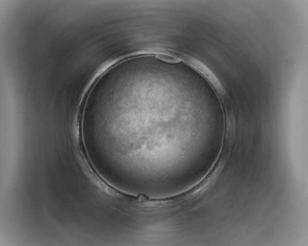 X0000114530908200910191319