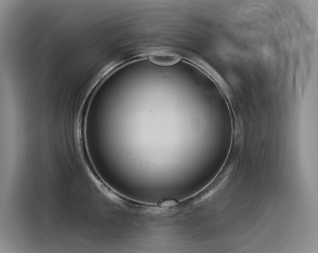 X0000114530909200910191319