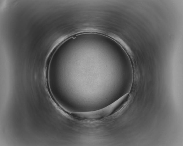 X0000114530910200910191319
