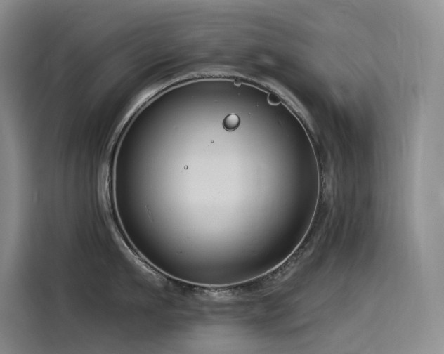 X0000114530911200910191319