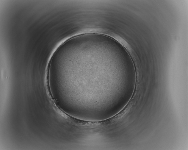 X0000114530912200910191319