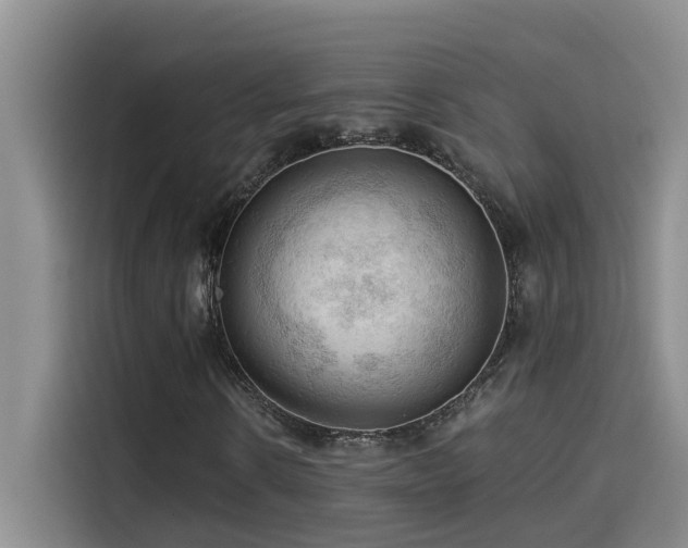 X0000114530914200910191319