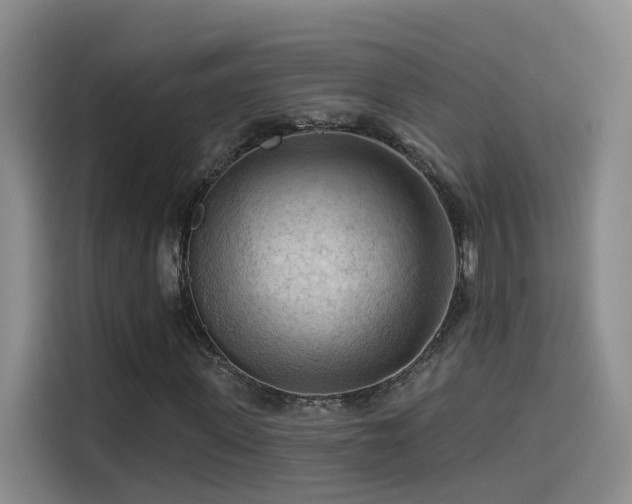 X0000114530915200910191319