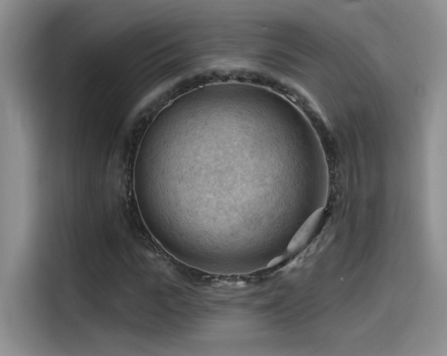 X0000114530919200910191319