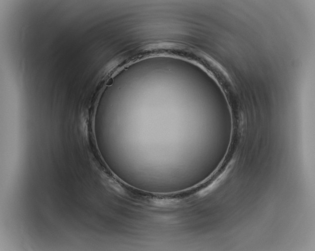 X0000114530921200910191319