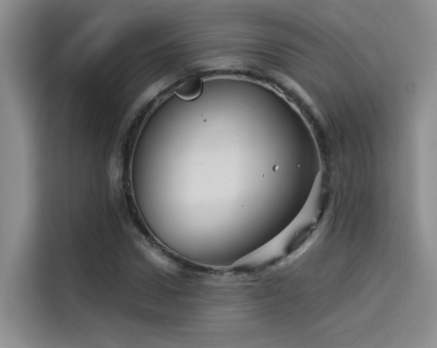 X0000114530922200910191319