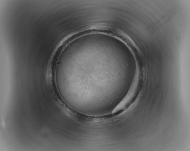 X0000114530923200910191319