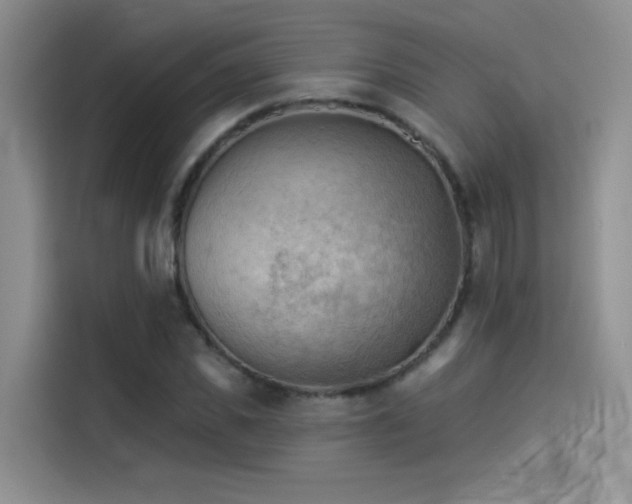 X0000114530925200910191319