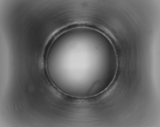 X0000114530927200910191319
