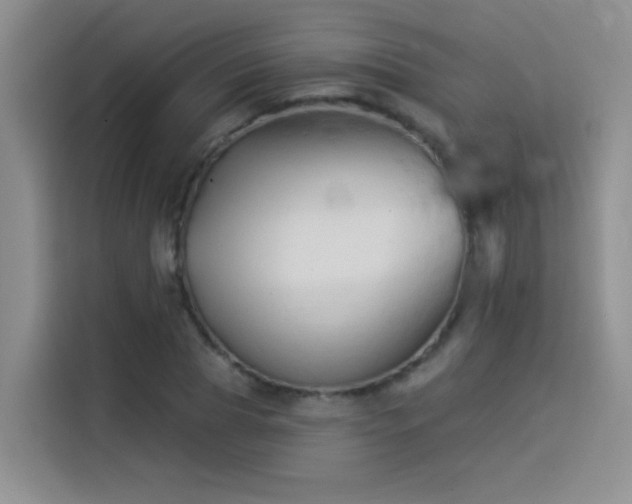 X0000114530929200910191319