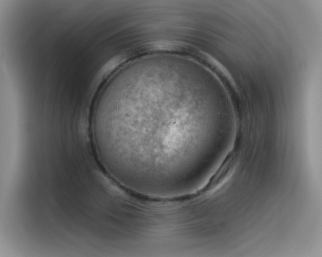X0000114530930200910191319