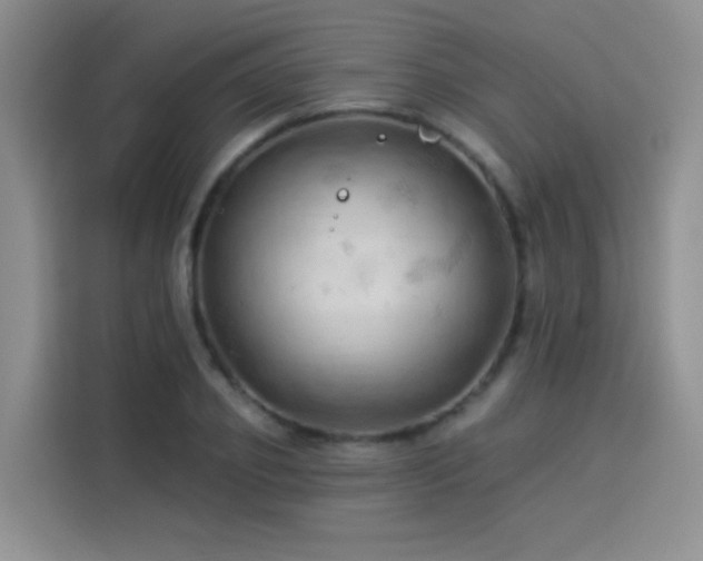 X0000114530933200910191319