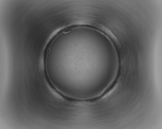 X0000114530934200910191319