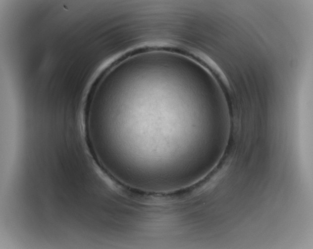 X0000114530935200910191319