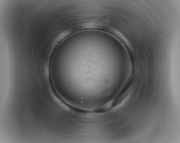 X0000114530938200910191319