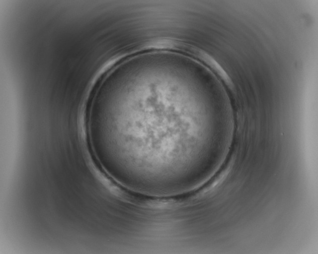 X0000114530939200910191319