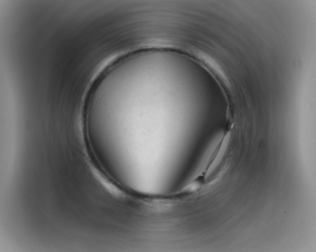X0000114530942200910191319
