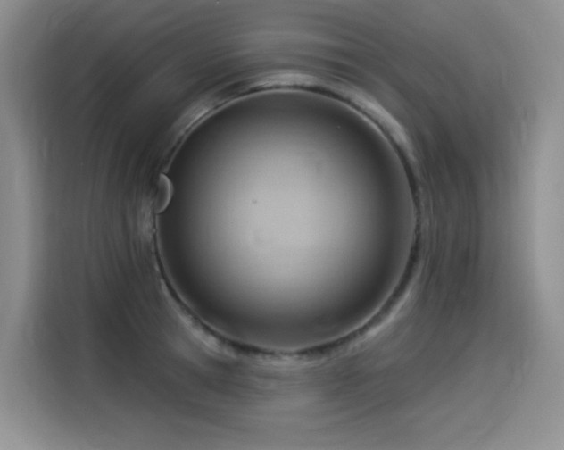 X0000114530945200910191319