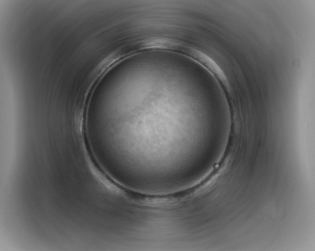 X0000114530946200910191319