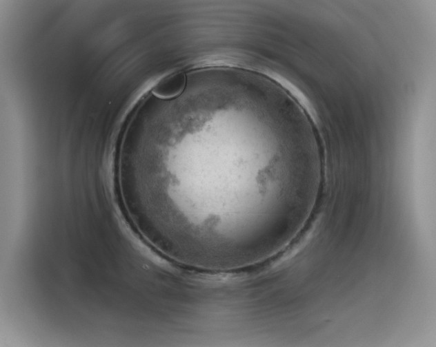 X0000114530949200910191319