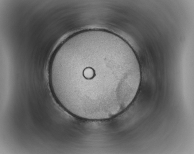 X0000114530950200910191319