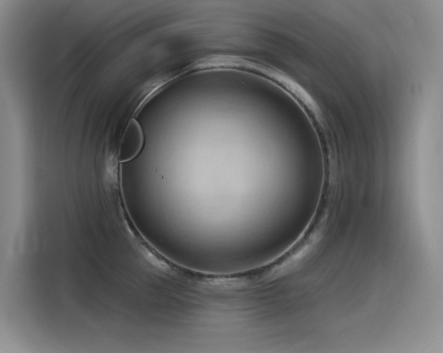 X0000114530953200910191319