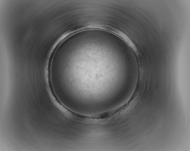 X0000114530955200910191319