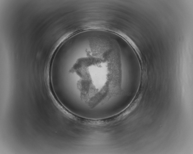 X0000114530957200910191319