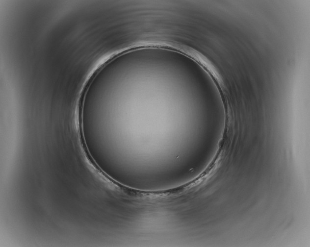 X0000114530958200910191319