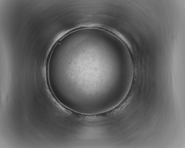 X0000114530959200910191319