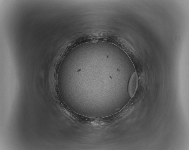 X0000114530961200910191319