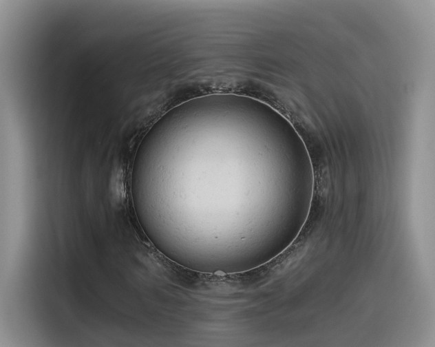 X0000114530962200910191318