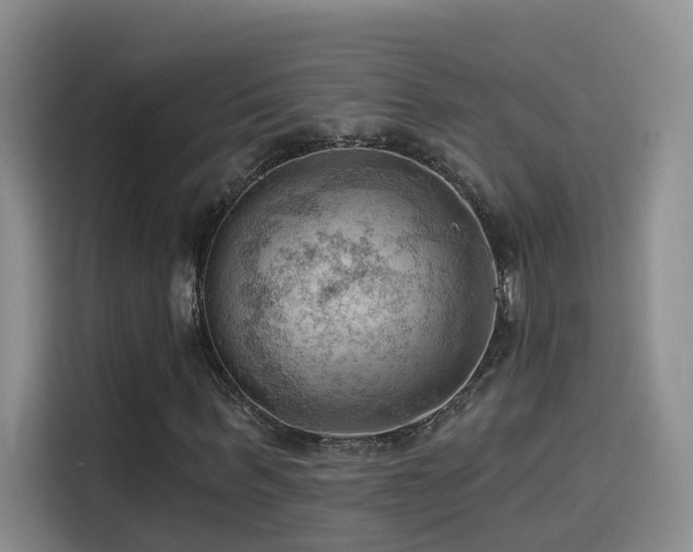 X0000114530963200910191318
