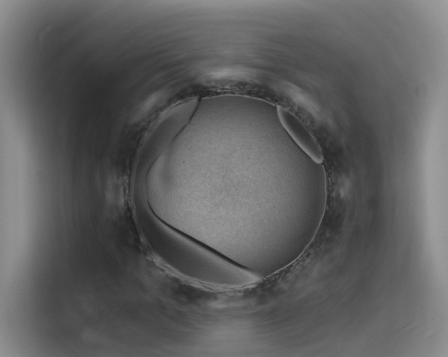 X0000114530965200910191318