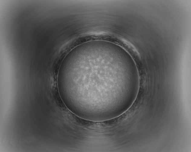 X0000114530966200910191318