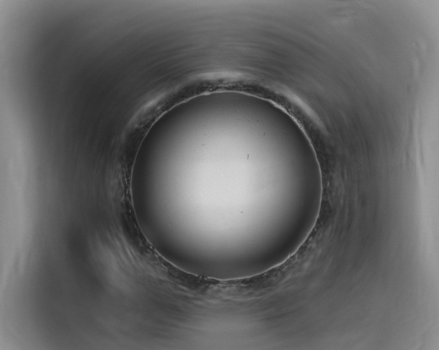 X0000114530967200910191318