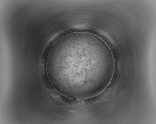 X0000114530968200910191318