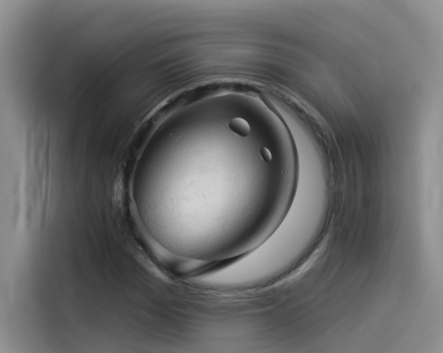 X0000114530969200910191318