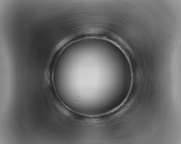 X0000114530970200910191318