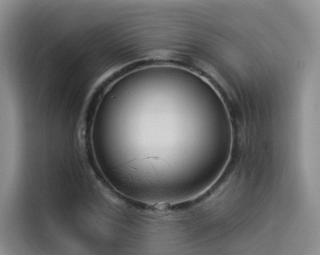 X0000114530971200910191318