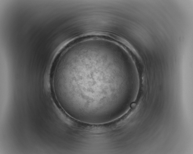 X0000114530972200910191318