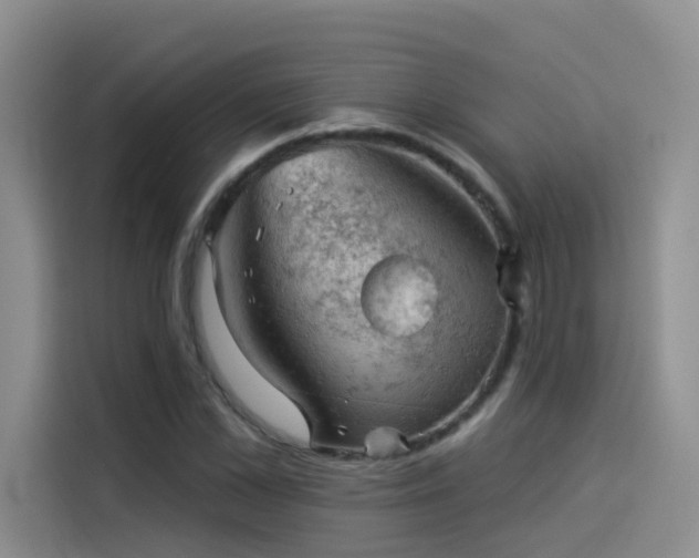 X0000114530973200910191318