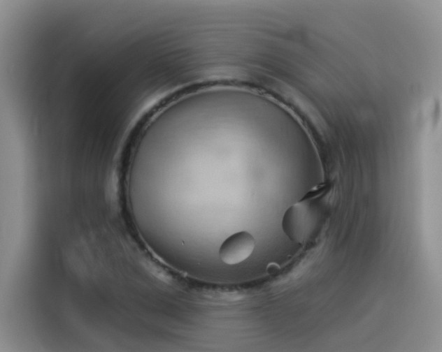 X0000114530975200910191318