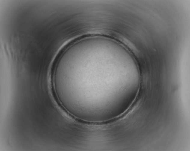X0000114530976200910191318
